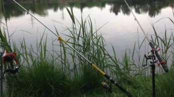 Großer See (Sonnenberg)-0