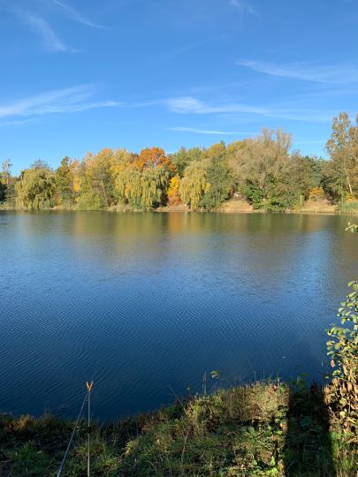 Teich Gebhardt (Wipshausen)-1