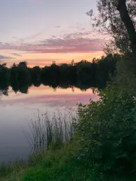 Teich Gebhardt (Wipshausen)