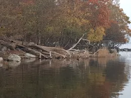 Schären Karlskrona-2