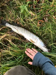 Röslau (Schirnding)-1