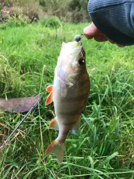 Röslau (Schirnding)-3