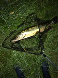 Röslau (Schirnding)