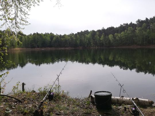 Waldsee Bernsdorf-3