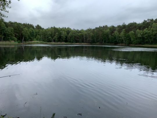 Waldsee Bernsdorf-4