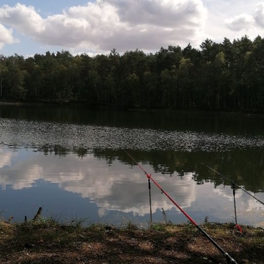 Waldsee Bernsdorf-2