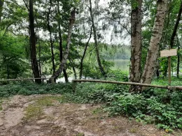 Haussee (Beerenbusch)-2