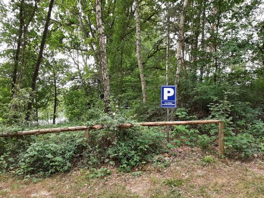 Haussee (Beerenbusch)-1