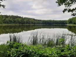 Haussee (Beerenbusch)-0