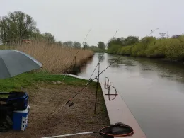 Oste (Bremervörde)-1