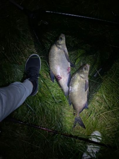 Oste (Bremervörde)-4