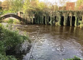 Oste (Bremervörde)-3