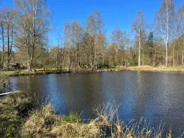 Forellenhof am Finkenberg-2