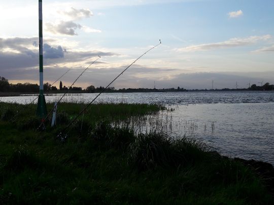 Elbe (Lauenburg Elbe)-1