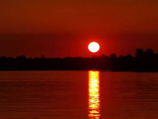 Elbe (Lauenburg Elbe)-3