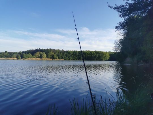 Schloßsee (Harnekop)-4