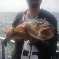 Ostsee (Fehmarn-Meeschendorf)-3