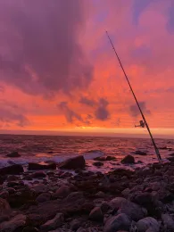Ostsee (Fehmarn-Meeschendorf)-1
