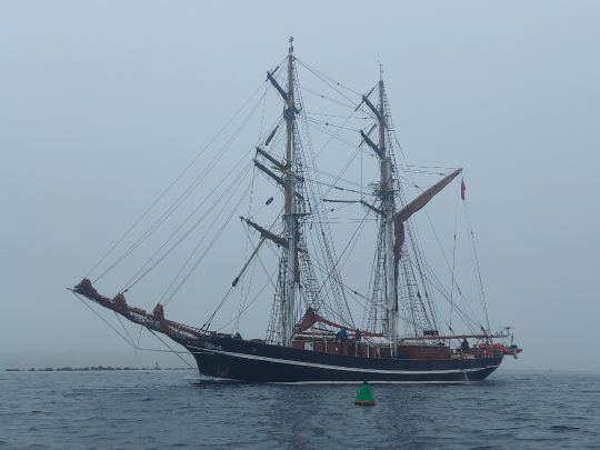 Ostsee (Fehmarn-Meeschendorf)-4