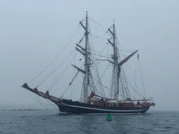 Ostsee (Fehmarn-Meeschendorf)-4