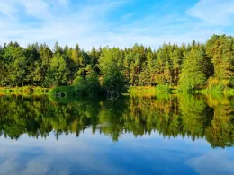 Großer Schmaußweiher-2