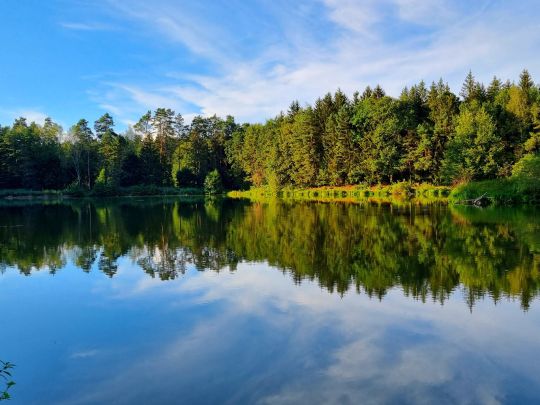Großer Schmaußweiher-3
