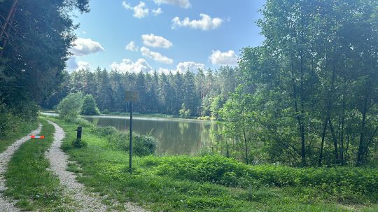 Großer Schmaußweiher-1