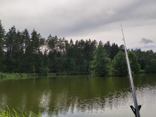 Großer Schmaußweiher-4