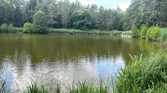 Großer Schmaußweiher