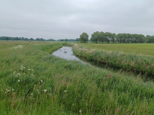 Secantsgraben