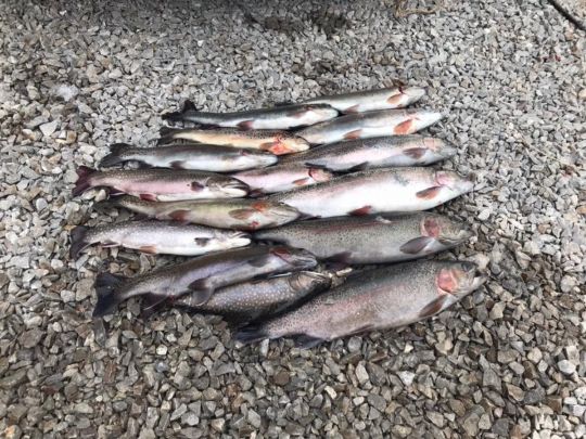 Teichwirtschaft Heberbaude-3