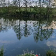 Bodenmühlweiher (Schönkirch)-2