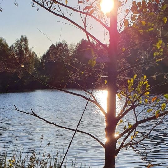 Bodenmühlweiher (Schönkirch)-3