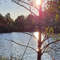 Bodenmühlweiher (Schönkirch)-3