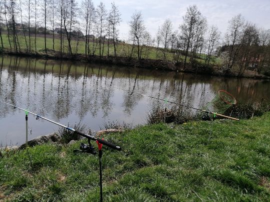 Bodenmühlweiher (Schönkirch)-1