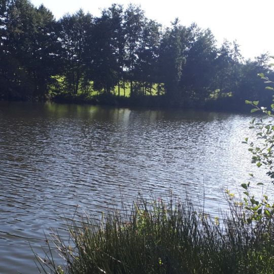 Bodenmühlweiher (Schönkirch)-4