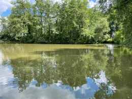 Riedsee (Möhringen)