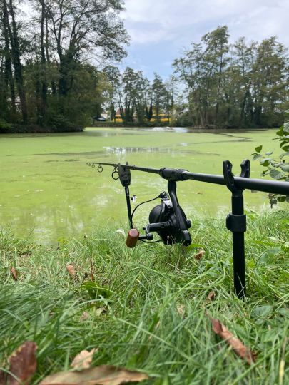 Riedsee (Möhringen)-3