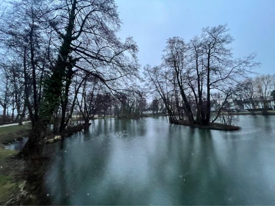 Riedsee (Möhringen)-1