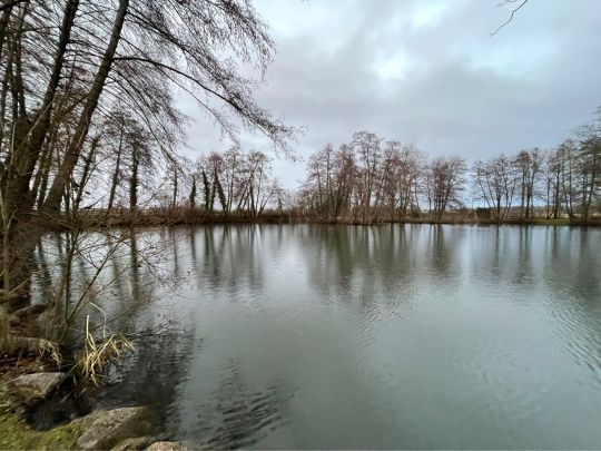 Riedsee (Möhringen)-2