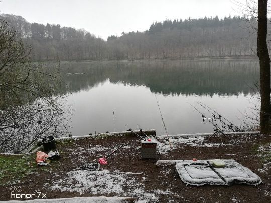 Holzmaar-0