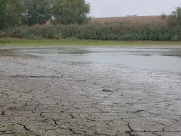 Pehritzscher Teich-4