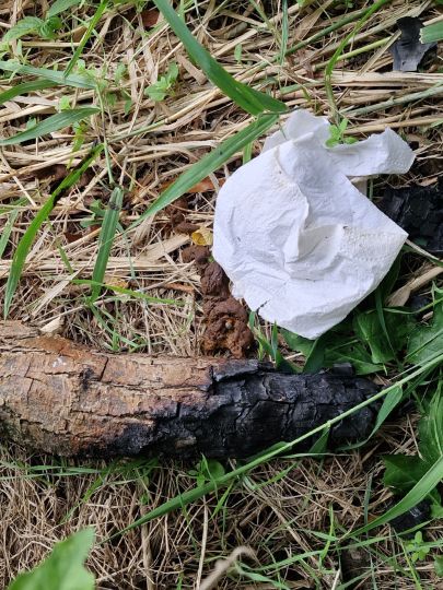 Pehritzscher Teich-1