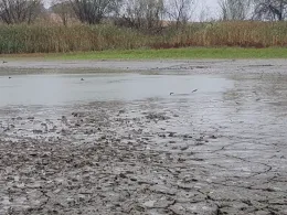 Pehritzscher Teich-3