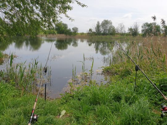 Pehritzscher Teich-2