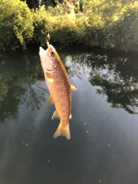Östliche Günz (Markt Rettenbach)