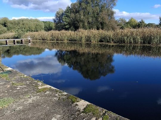 Rehsumpf (Dessau-Roßlau)-3