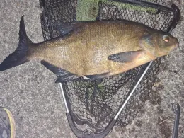 Rehsumpf (Dessau-Roßlau)-4