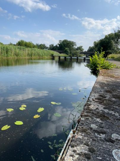 Rehsumpf (Dessau-Roßlau)-2