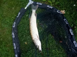 Schloßteich Griebenow-4